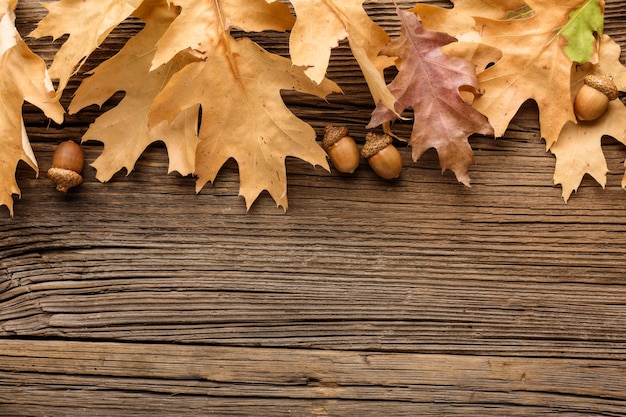 Kostenlose Foto draufsicht auf herbstlaub und kopierraum