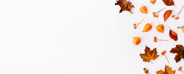 Kostenlose Foto herbst flach lag hintergrund auf weiß