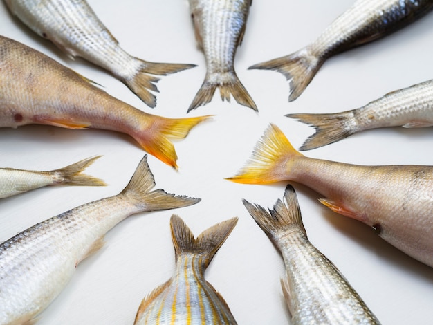 Free Photo top view fresh fish tails frame