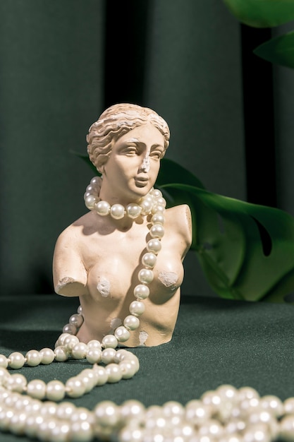 Gratis Foto hvid venus bust med perler