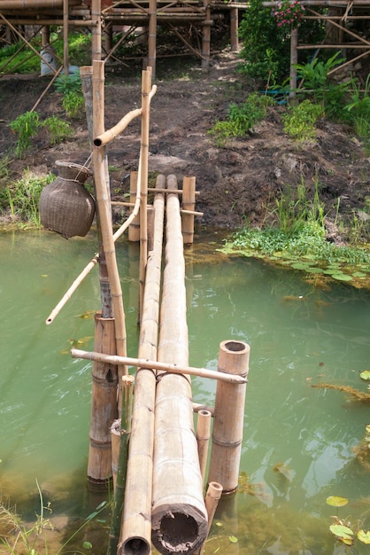 Photo nhìn những khúc gỗ trong hồ