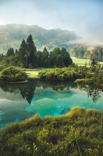 Foto naturreservat zelenci krajnska gora slovenien europa vidunderlig morgenudsigt over zelenci naturreservat slovenien rejse