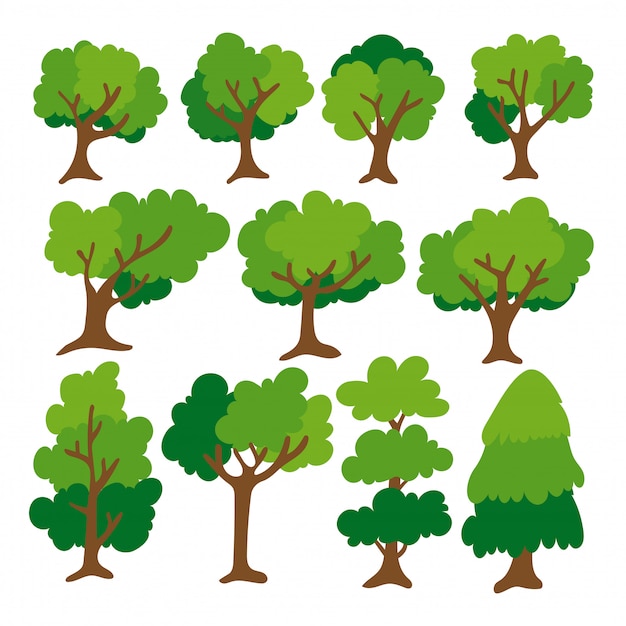 Vector flat tree icon. various shape trees in the forest. isolated on white background.