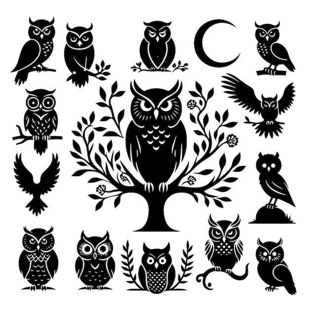 Vector owl bundle silhouette vector on white background