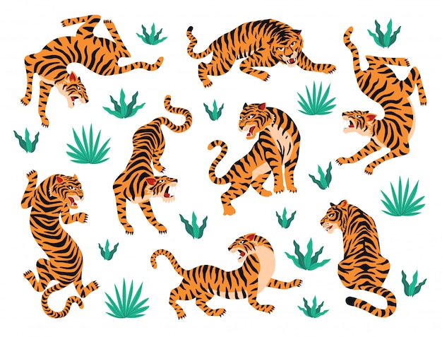 Vector vector set of tigers and tropical leaves.
