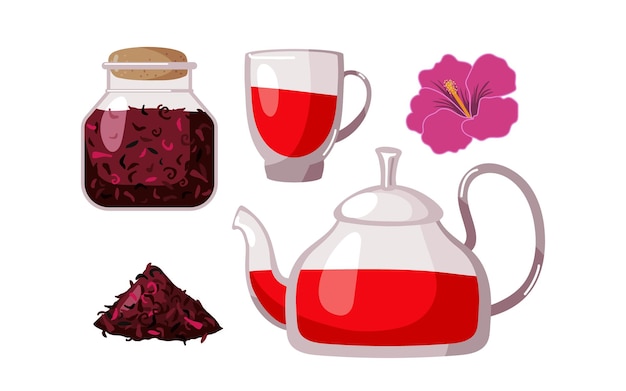Vector trà dâm bụt sảng khoái. cốc thủy tinh và ấm trà, cánh hoa dâm bụt khô, hoa tươi