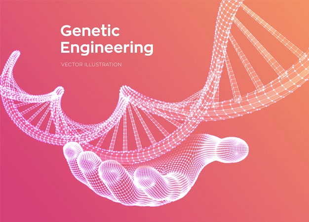 Miễn phí Vector chuỗi dna trong tay. lưới cấu trúc phân tử mã dna khung dây.