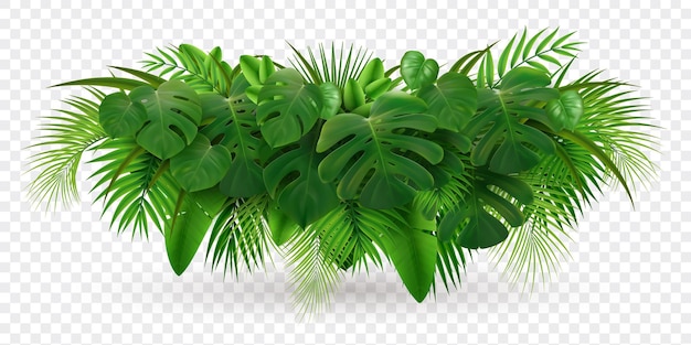 Vector Gratis komposisi realistis cabang pohon palem daun tropis dengan gambar tumpukan daun hijau terisolasi