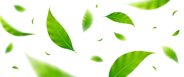 Vector desain daun beterbangan cocok untuk elemen desain